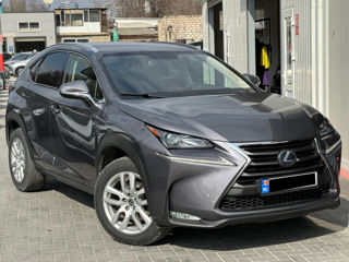 Lexus NX Series