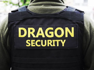ugdragon2024