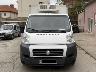 Fiat Ducato frigorific