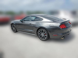 Ford Mustang foto 6