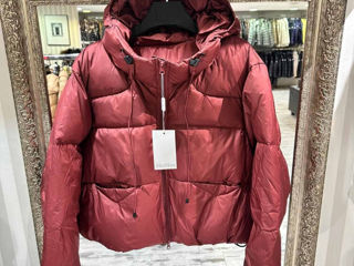 Max Mara Fendi Moncler foto 4