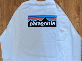 свитшот patagonia