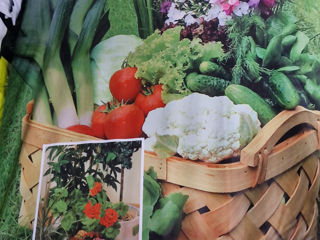 Torf, substrat pentru legume și flori, perlit, scoarta decorativa Durpeta foto 10