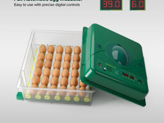 Incubator De Oua Des Champs Eco Profi C-36 - 0b - livrare/achitare in 4rate la 0% / agroteh foto 14