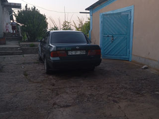 Nissan Primera foto 3