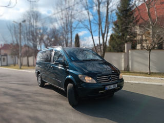 Mercedes Viano