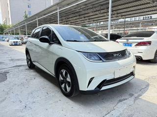 Byd Dolphin, 2025 