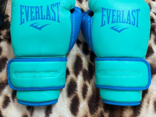 Everlast foto 7