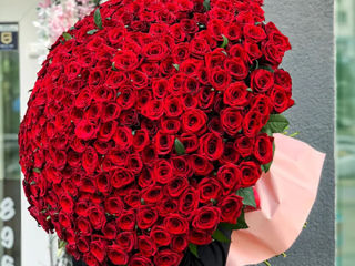 Livrare flori! 101 trandafiri de la 799 mdl! Доставка цветов 101 роза от 799 лей! Flowers delivery