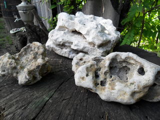 камни для аквариума foto 3