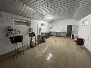 Se vinde afacere activa cu Srl Crescatorie de prepelite foto 5