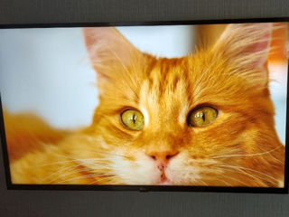 Lg"43" Smart tv 4K foto 0