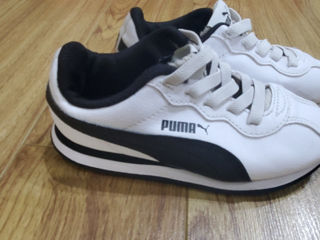 Puma foto 1