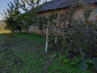 Vind casa de locuit in Molesti ,Ialoveni foto 2