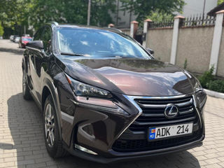 Lexus NX Series
