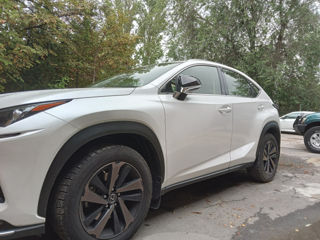 Покраска, foto 1