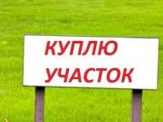 Куплю участок земли срочной продажи ! foto 5