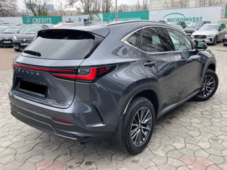 Lexus NX Series foto 4