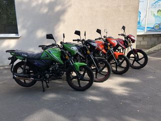 Alpha Moto Livrare gratuita foto 3