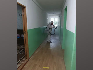 Дезинфекция уничтожение клопов тараканов блох фото 2