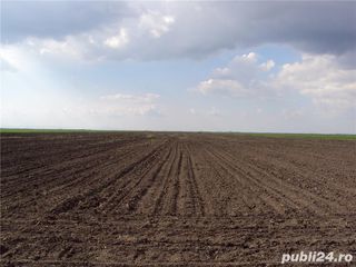 Cumpar teren agricol în raionul Dondușeni foto 1