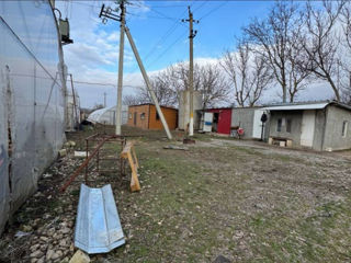 Satul Humulesti ! Teren 3,7 ha ( Gradina ), lingă pădure ! foto 5