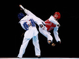 Taekwondo WT Botanica foto 2