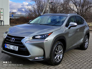 Lexus NX Series