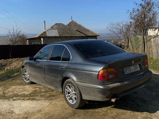 BMW 5 Series foto 6