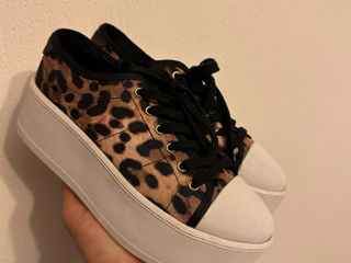 Guess Leopard