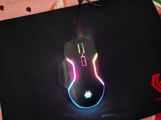 Mouse foto 1