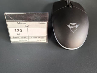 Mouse GXT