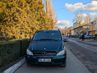 Mercedes Viano foto 2