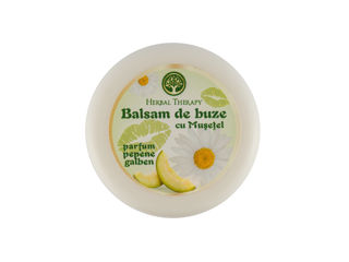 Balsam de Buze cu Mușețel (Parfum Pepene Galben), 20 ml foto 1