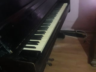 Продам пианино акорд работает прекрасно !!! foto 4