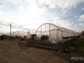 Spre vânzare teren agricol în s.Dobrogea!! foto 17