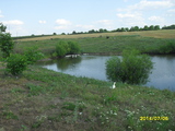 ферма + озеро+ 3 г, земли, foto 4