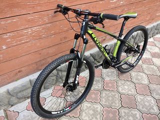 Olympia Cobra Sixfifty 27.5''