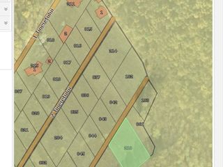 Teren pentru constructie. 14+5 ari. Poiana Domneasca. Sect. 129. La hotar cu padurea. foto 3