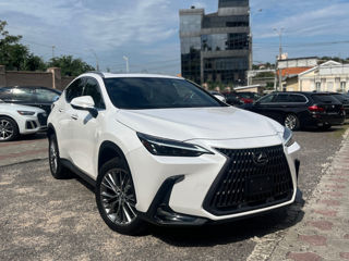 Lexus NX Series