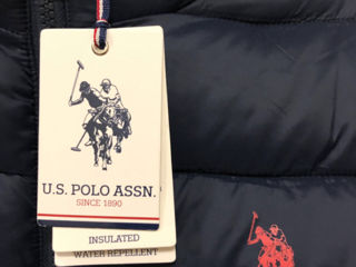 Scurta U.S.POLO  ASSN