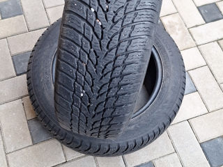 Nokian Tyres 185/60/R15 foto 1