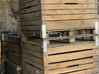 vind containere din lemn