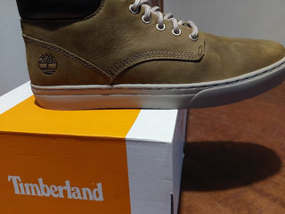 Timberland foto 3