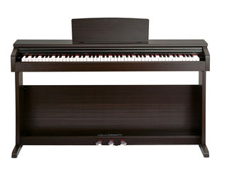 Pearl River V-05 Rosewood