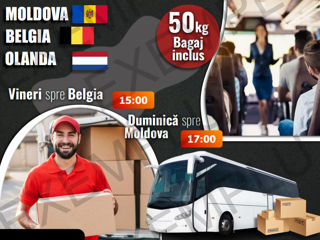 Logouri, Reclame, Broșure, Cărți de vizită, Prezentări PowerPoint - Totul la comanda foto 3