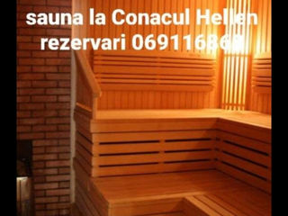 Conac cu sauna,sala de biliard,foisor cu mangal.,si bazin foto 10