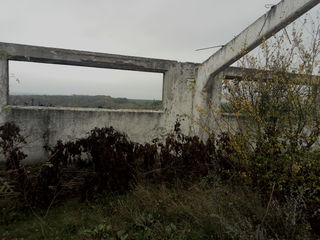 Ферма для животноводства в Шолданештском р-не, На берегу Днестра. foto 2