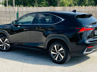 Lexus NX Series foto 6