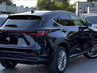 Lexus NX Series foto 3